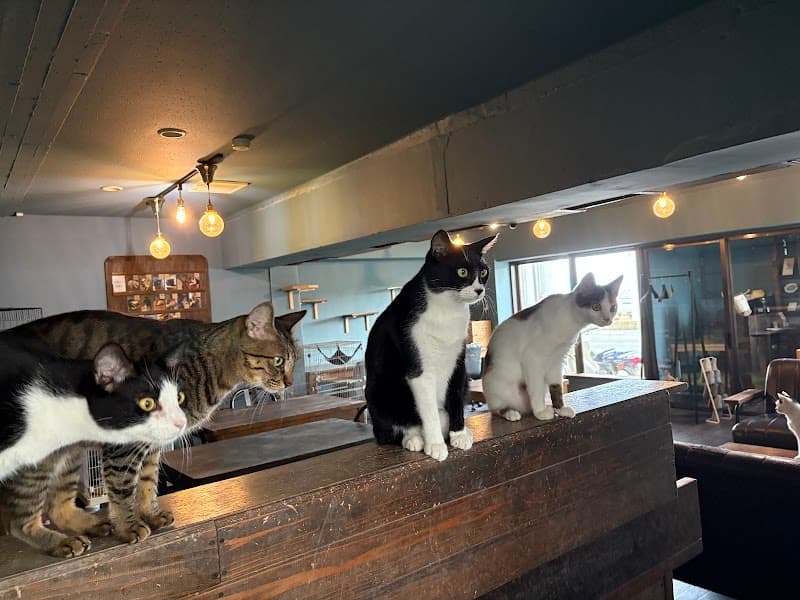 coworking space necohara - Coworking Space, a0000000-0000-0000-0000-000000001403