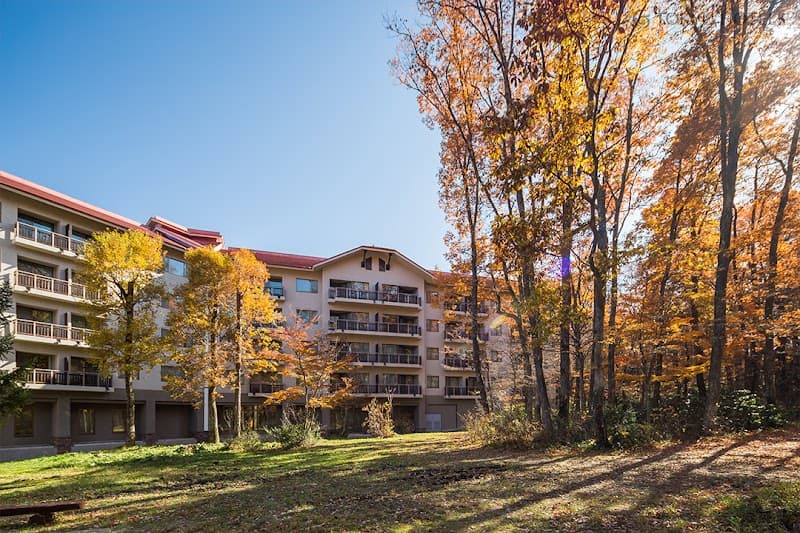 白馬東急ホテル デイユース - ホテルデイユース, a0000000-0000-0000-0000-000000002205