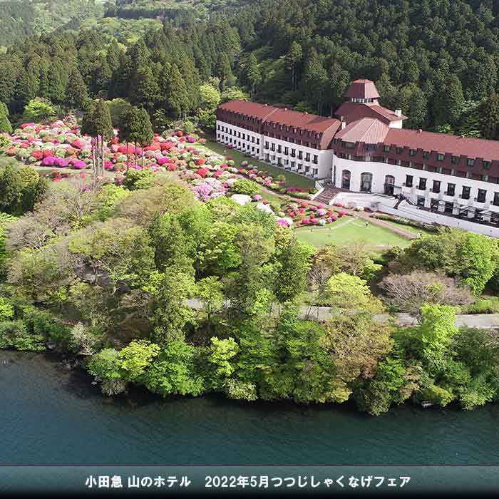 山のホテル デイユース - ホテルデイユース, a0000000-0000-0000-0000-000000000606