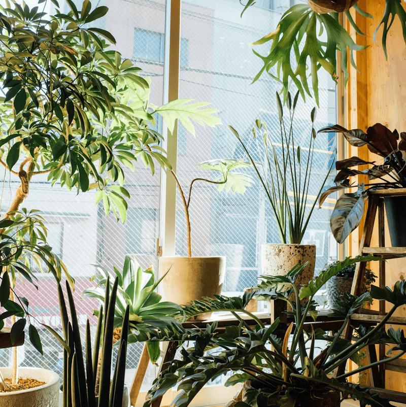 ii Office Asakusabashi - Coworking, a0000000-0000-0000-0000-000000000017