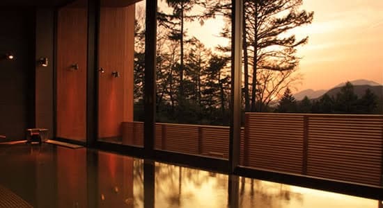 軽井沢プリンスホテル デイユース - ホテルデイユース, a0000000-0000-0000-0000-000000002201