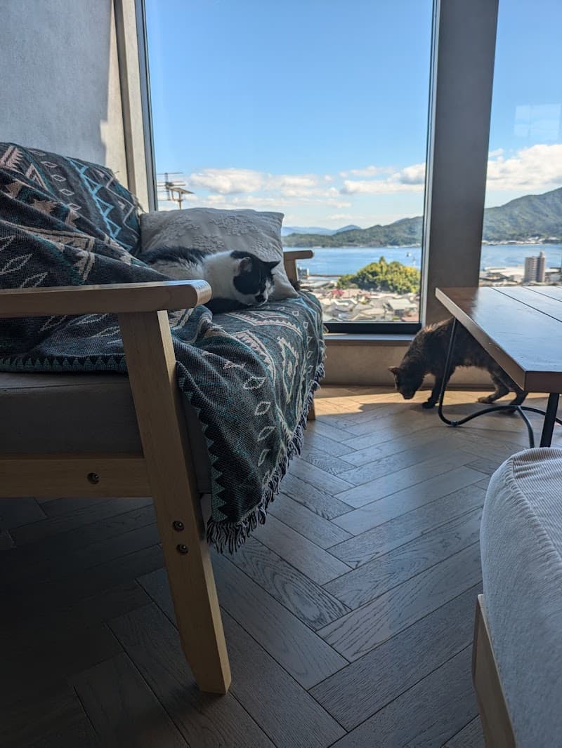 シニア猫専門 保護猫カフェShhh… - Coworking Space, a0000000-0000-0000-0000-000000000804